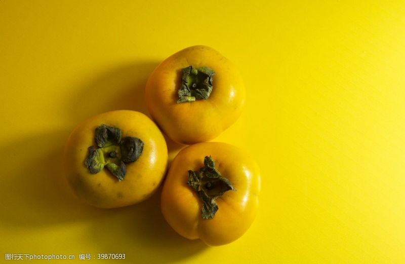 秋天海报柿子图片