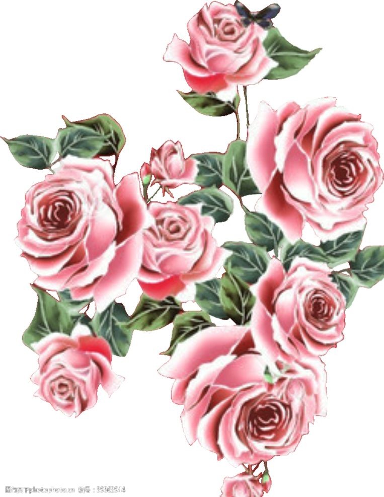 方框手绘花朵花朵素材玫瑰背景图片