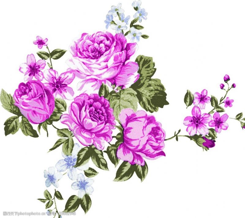 四方连续底纹手绘花朵花朵素材玫瑰图片