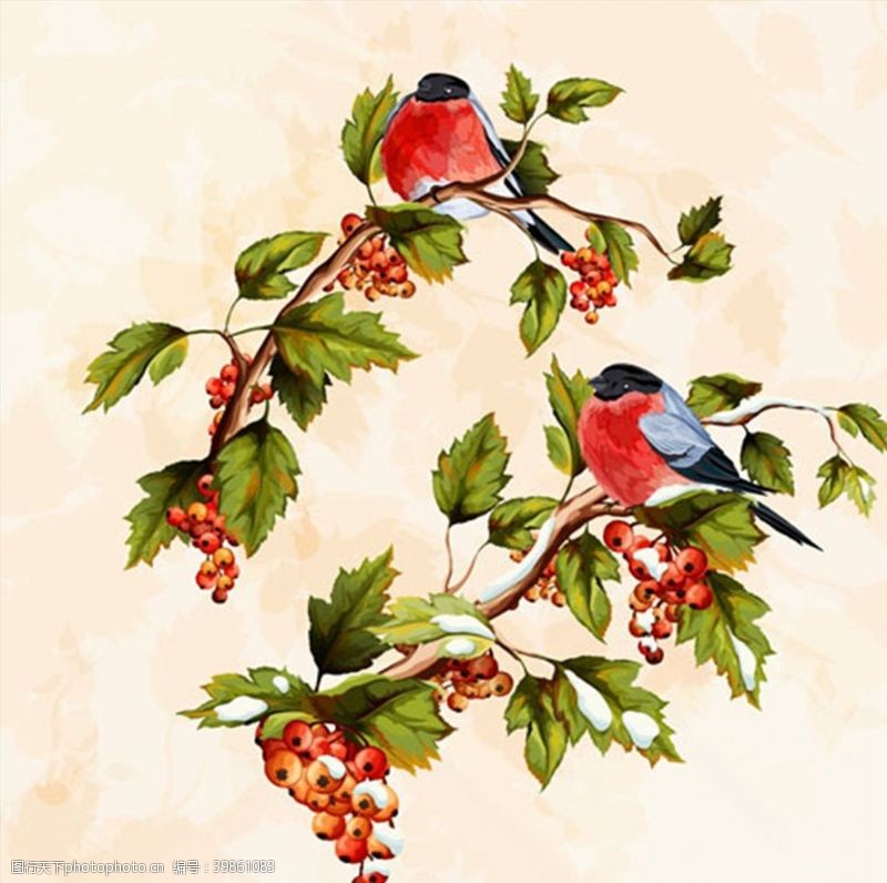 树枝小鸟手绘小鸟与果实图片