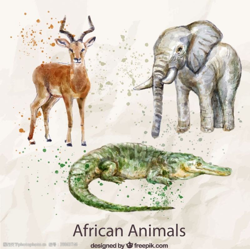 非矢量图水彩绘非洲动物图片