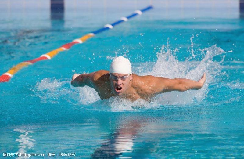 游泳健身跳水运动游泳图片
