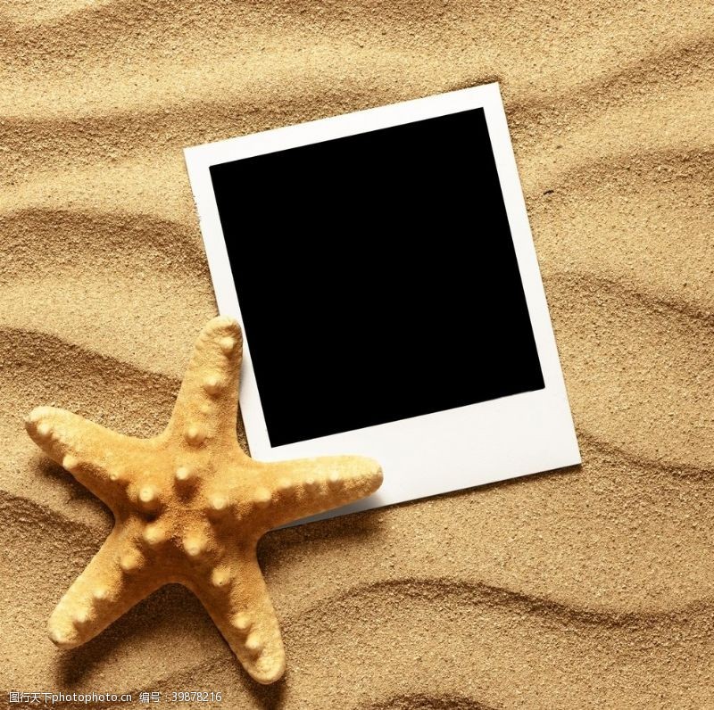 阳光贝贝夏日沙滩图片