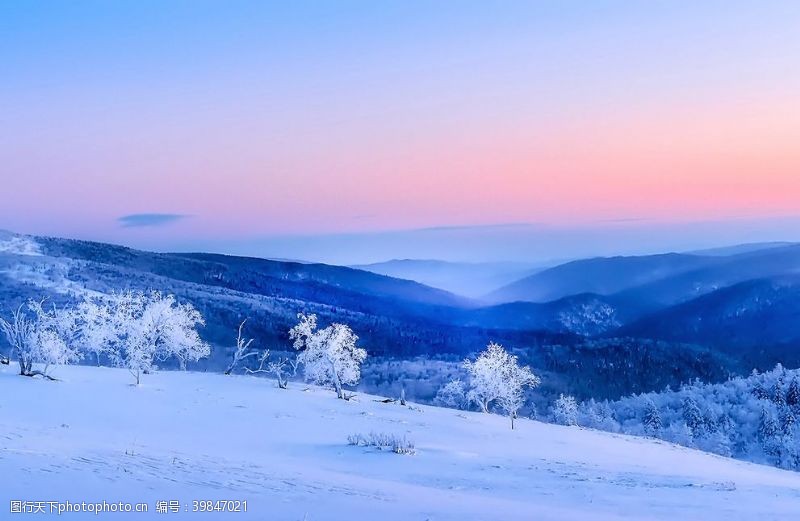 晨光雪龙山之晨图片
