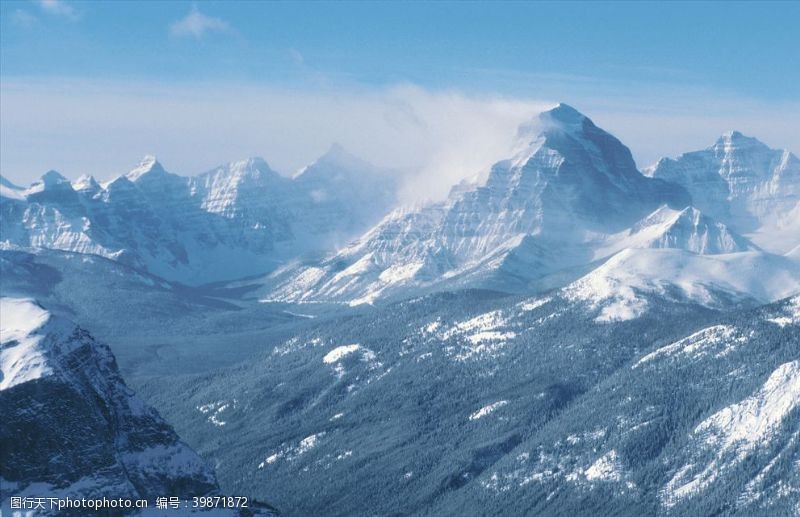 松柏雪山风景图图片