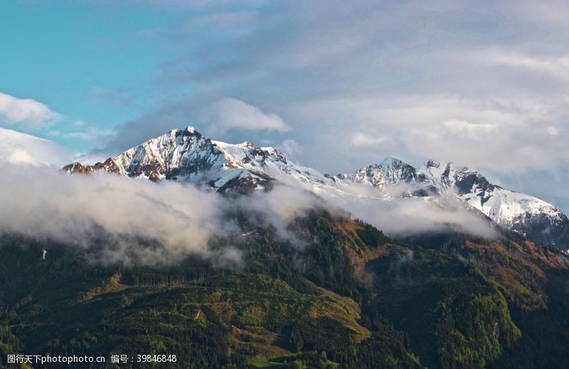 唯美卡通树雪山图片