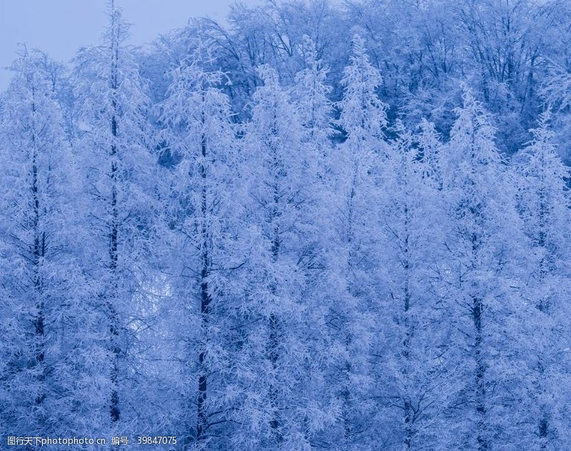 张家界风景张家界雪景图片