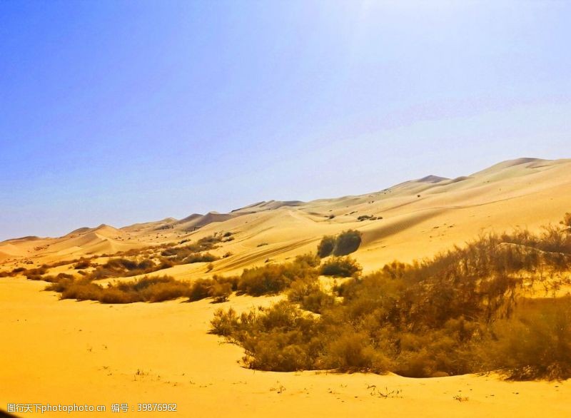 沙漠自然风景图片