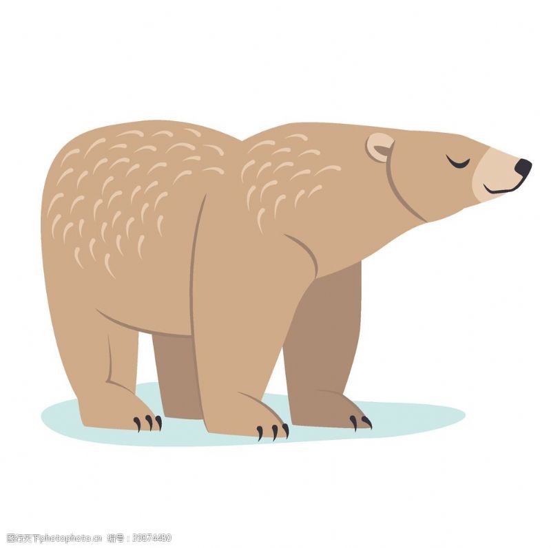 读书插画北极熊图片