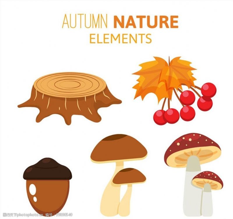 蘑菇创意秋季植物图片