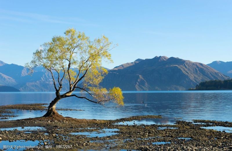 风景如画新西兰阿尔卑斯山湖泊的图片