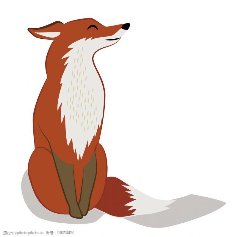 读书插画狐狸图片