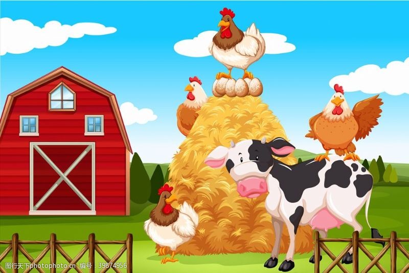 农场动物卡通鸡图片