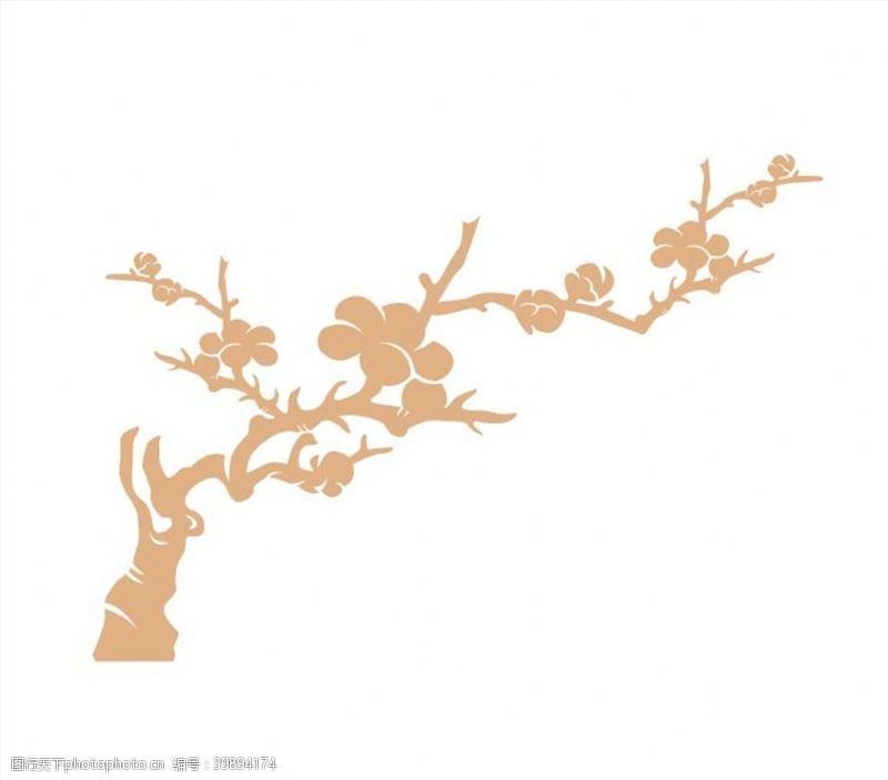 喜鹊梅树图片