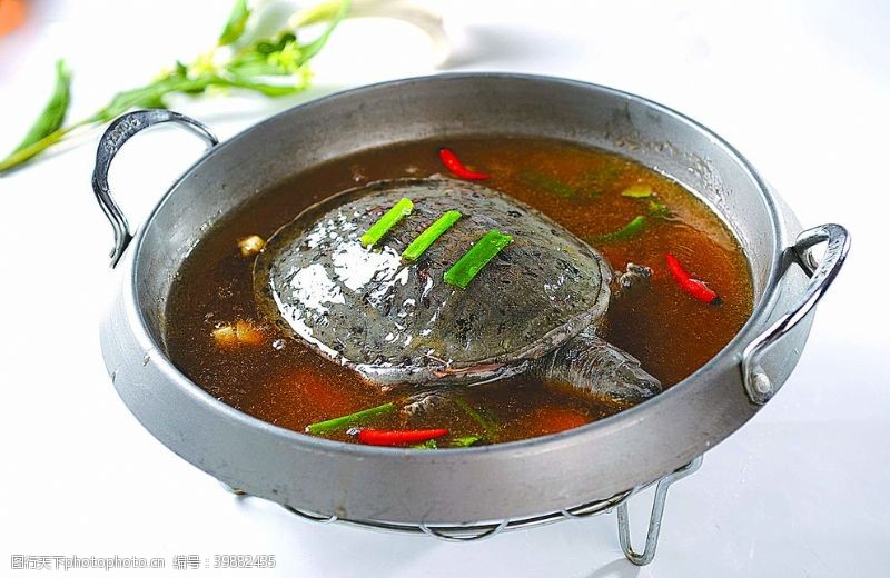 炒锅焖甲鱼图片