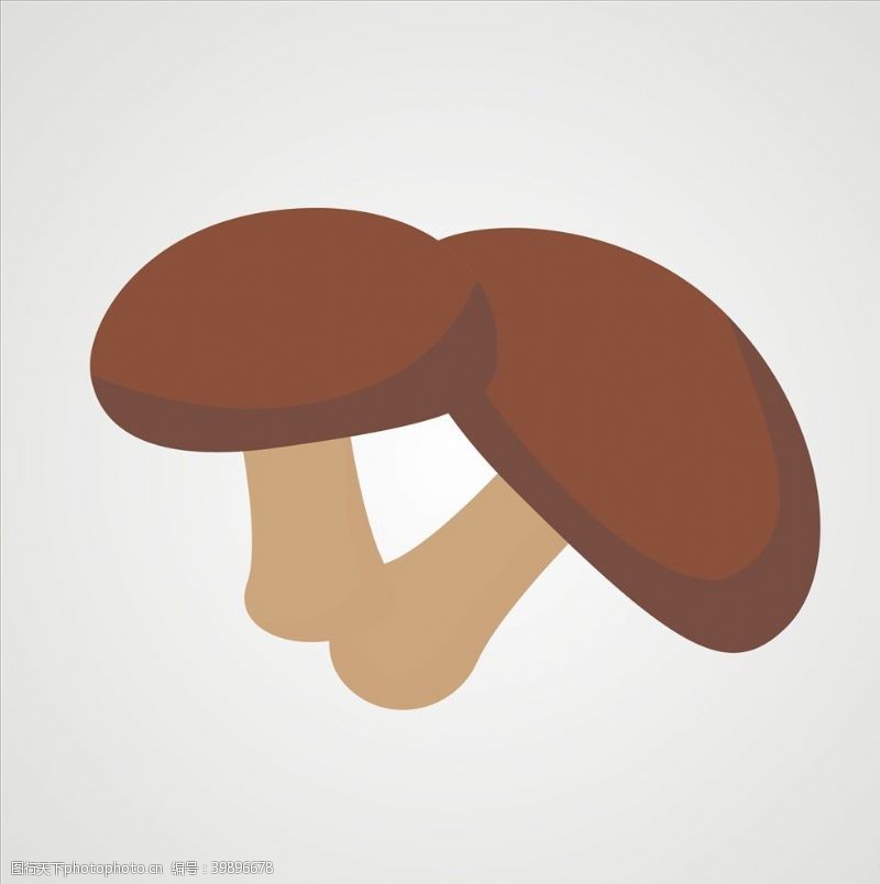 矢量香菇蘑菇香菇图片
