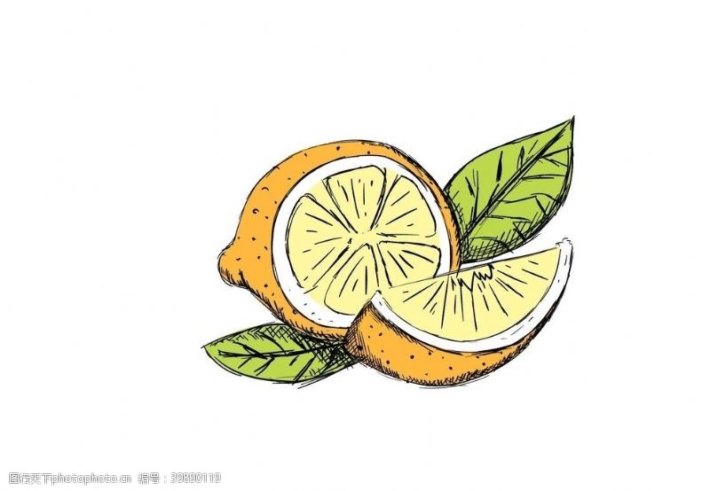 矢量水果素材柠檬图片