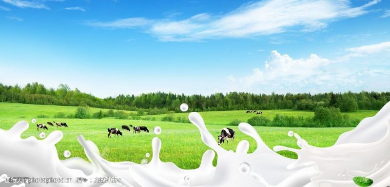 绿色清新背景板牛奶背景图片