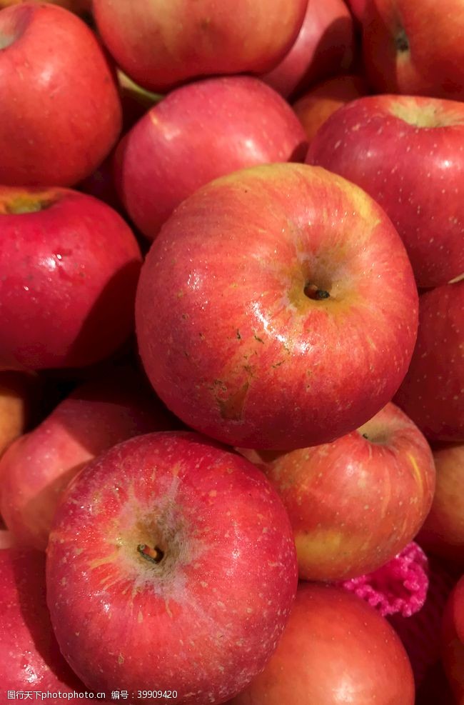 健康食物苹果图片