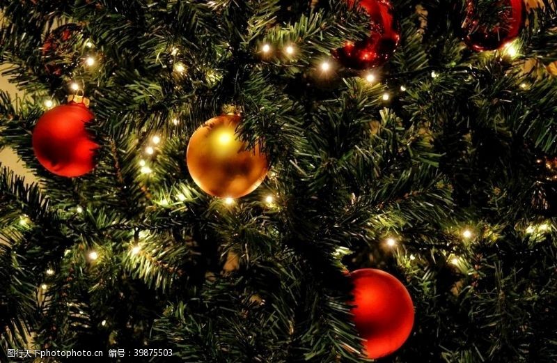 庆祝元旦圣诞树装饰场景图片