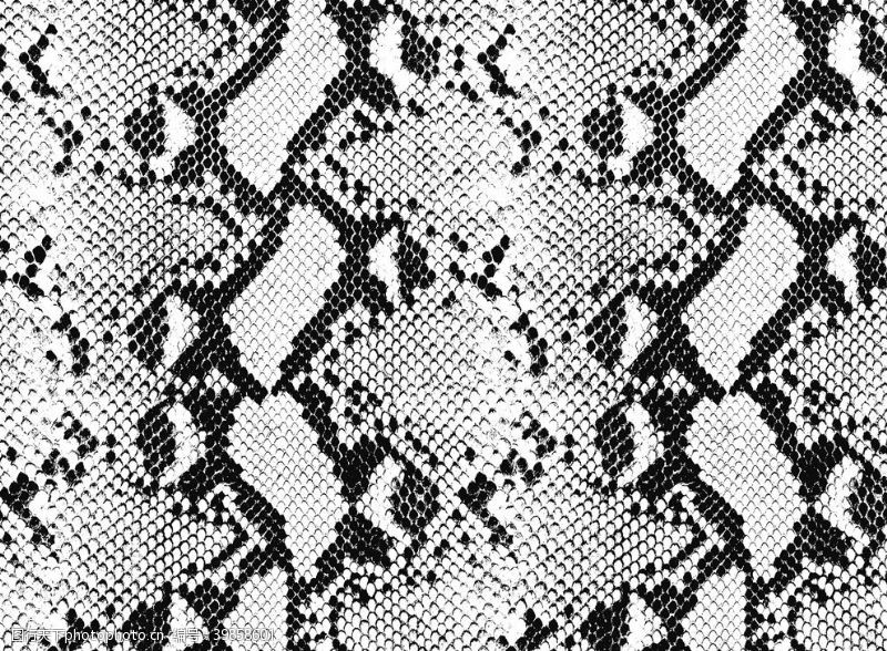 数码迷彩印花蛇皮纹动物皮纹图片