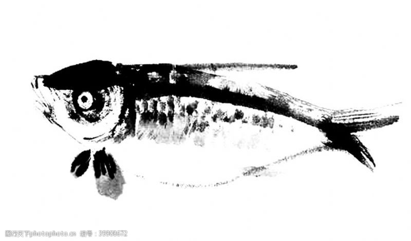 鲸鱼水墨鱼图片