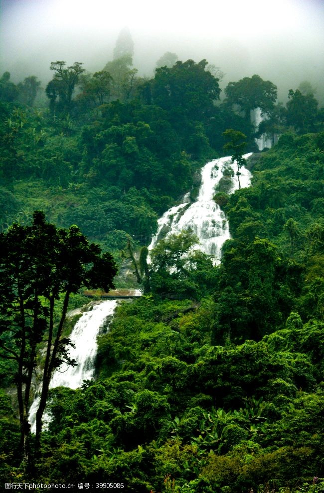 热带雨林雨林瀑布图片