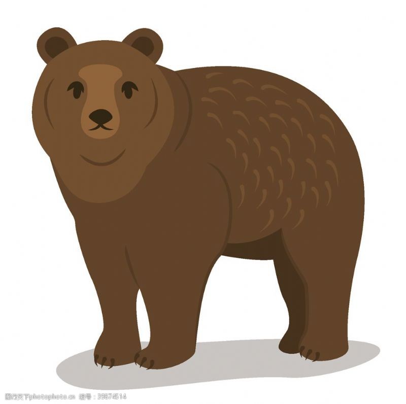 读书插画棕熊图片