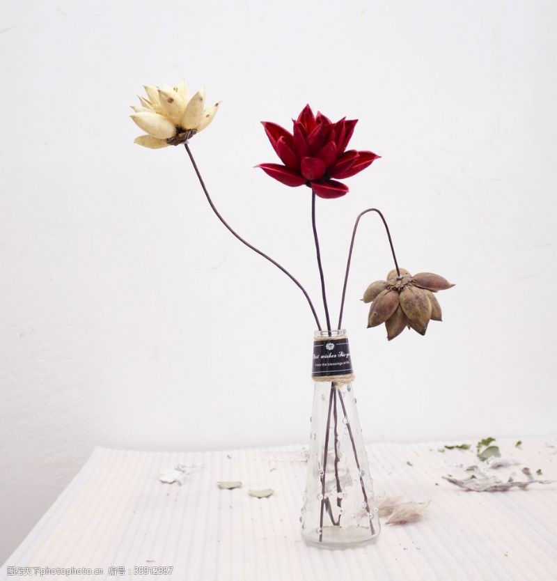 花束白底花瓶里的莲花图片