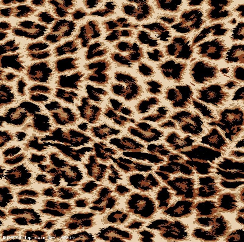 动物毛皮花纹豹纹图片
