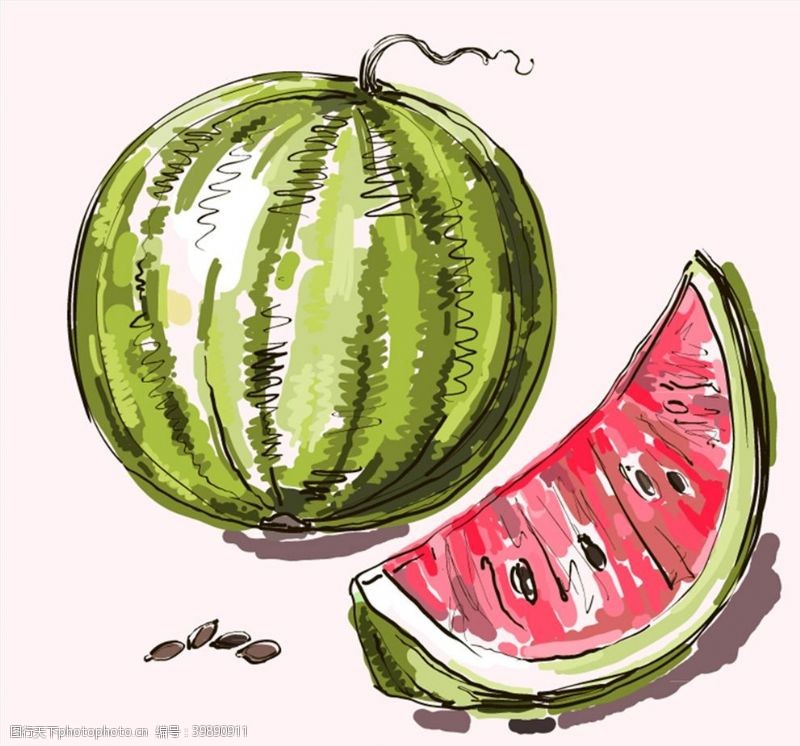 矢量水果素材彩绘美味西瓜图片