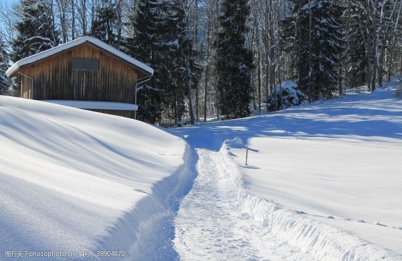 卡通滑雪冬天雪景图片