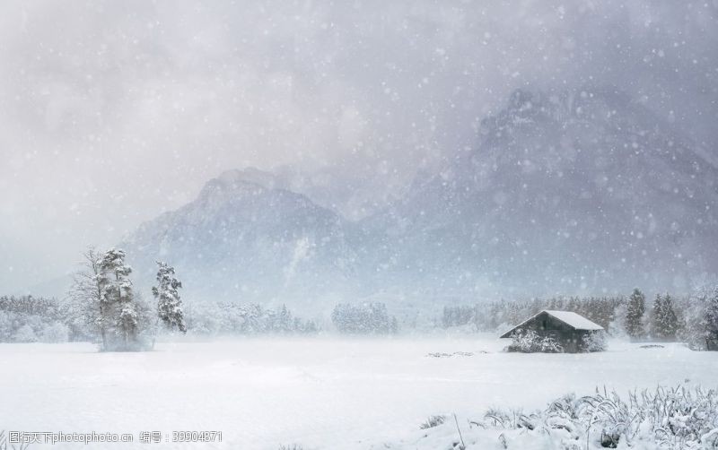 唯美卡通树冬天雪景图片