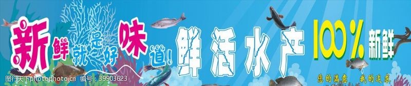 水族世界海洋馆展板图片