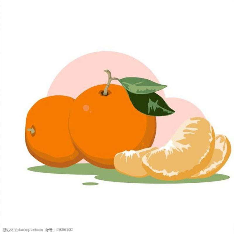 矢量水果素材橘子图片