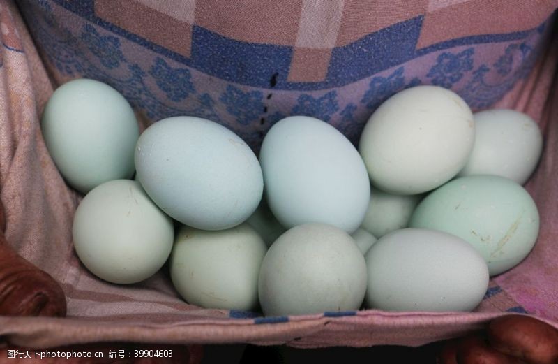 蛋壳绿壳鸡蛋图片