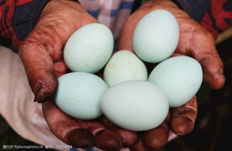 生态鸡蛋绿壳鸡蛋图片