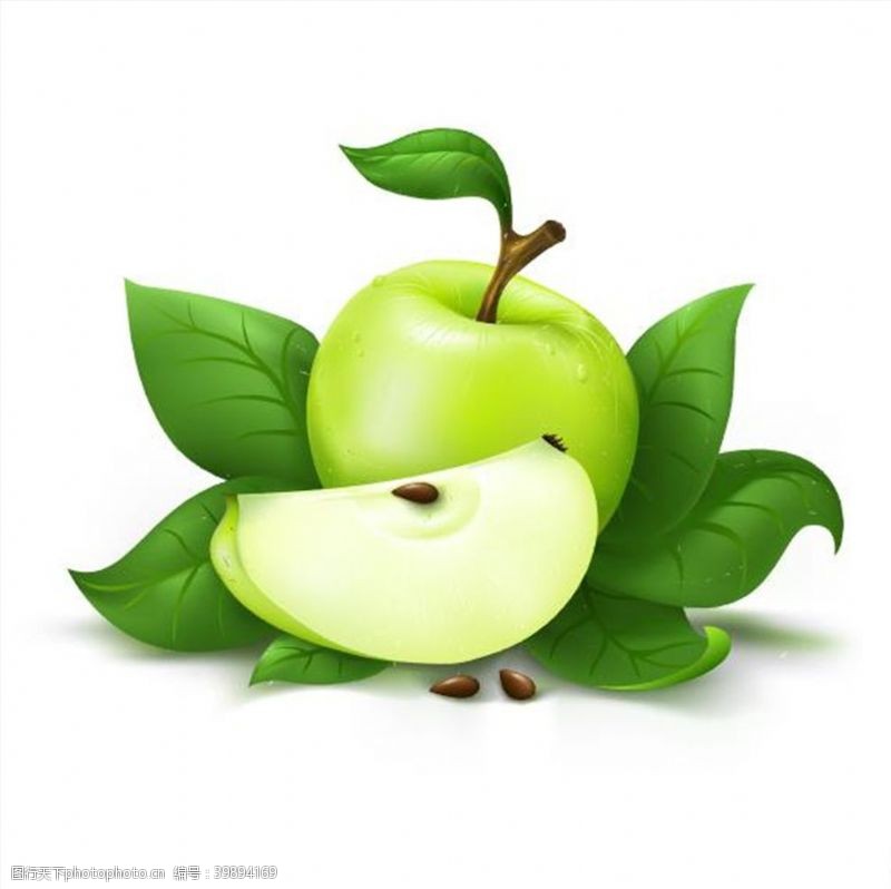 水果树矢量素材苹果图片