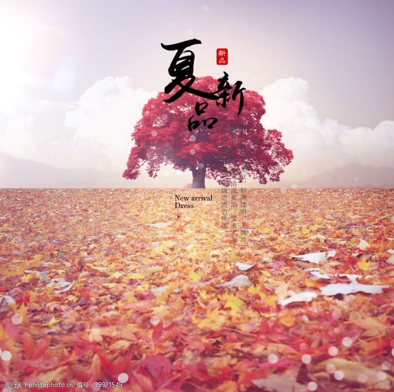 秋季海报秋枫落叶图片