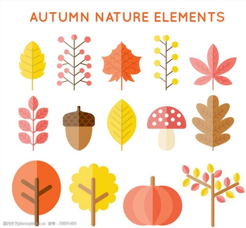 秋季叶子矢量秋季植物矢量图片