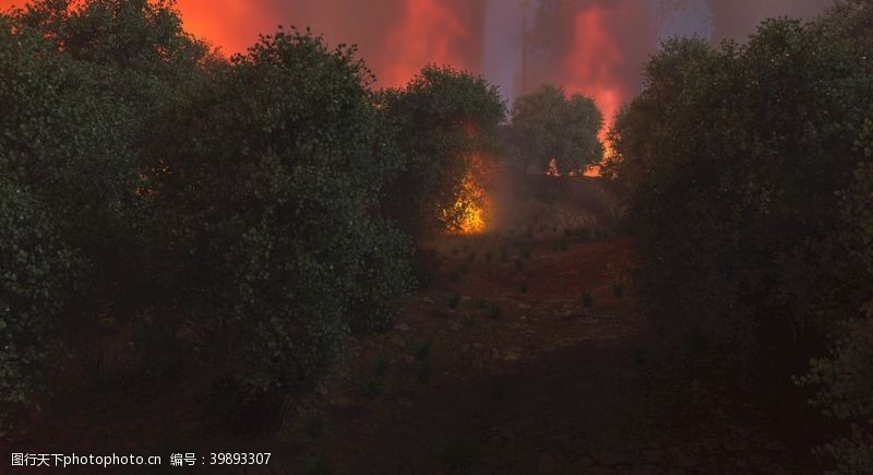 泥泞燃烧中的夜晚森林山火烟雾图片