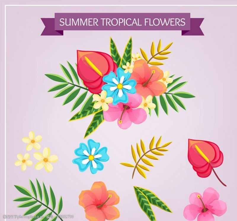 花束素材热带花卉和叶子图片