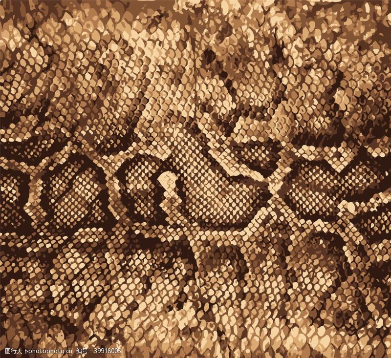 虎头蛇纹图片