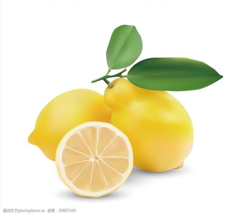 矢量水果素材矢量柠檬图片