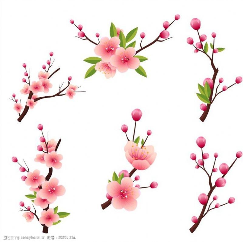 春天花朵素材桃花图片
