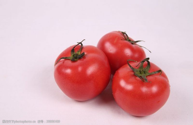 生态种植西红柿图片