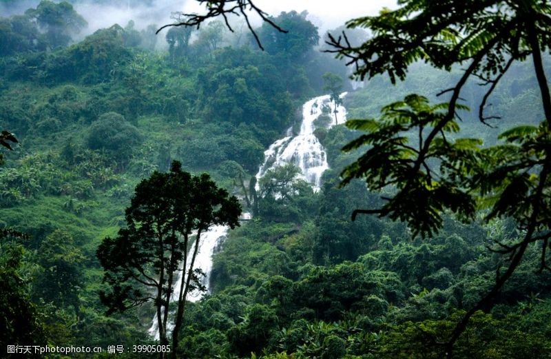 岭雨林瀑布图片