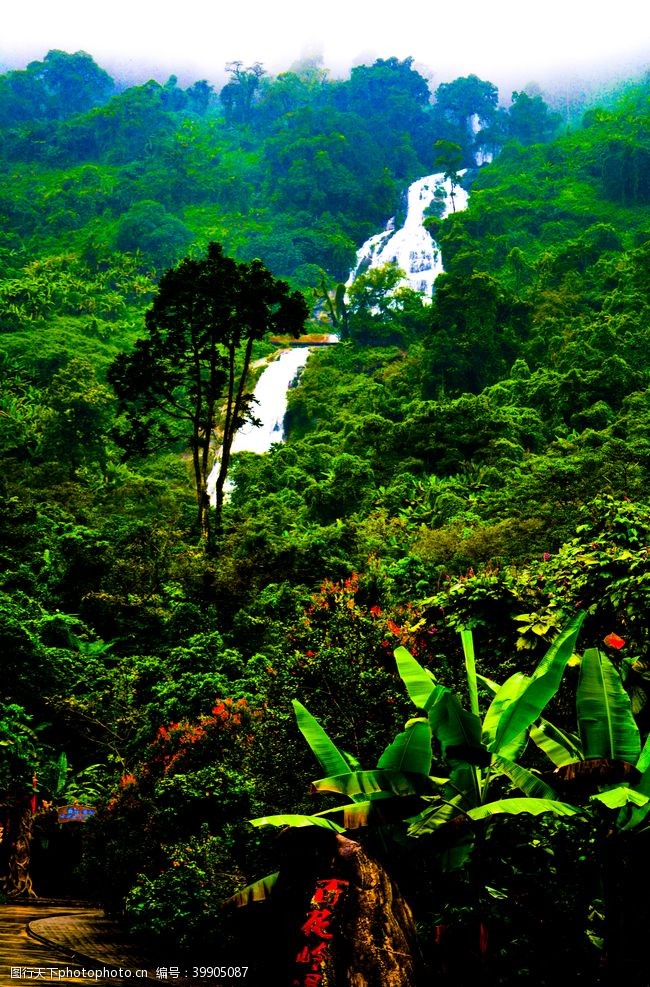 热带雨林雨林瀑布图片
