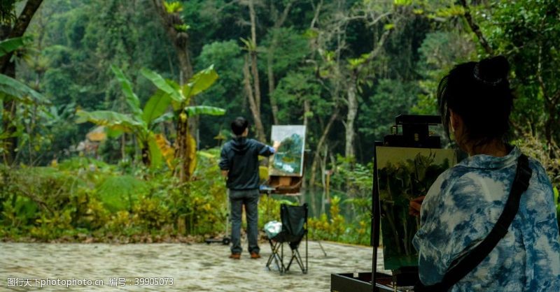 热带雨林雨林写生图片