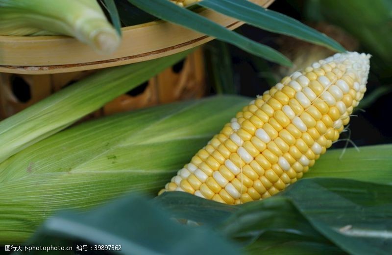 云南美食云南金银水果玉米新鲜生吃图片